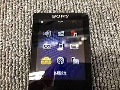WALKMAN Model NW S315K SONY | eBay