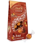 Limited Edition Lindt Lindor PUMPKIN SPICE Milk Chocolate Truffle 5.1oz