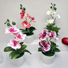 Artificial Orchid Flower Display in Pot White Realistic Home Party Décor UK