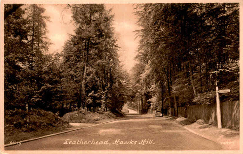Leatherhead, Hawks Hill, Frith & Co., Reigate, England. Postcard