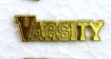 VARSITY Chenille-Sports-Lapel-Jacket-Party-Award Pins School-Team-Club FastShip