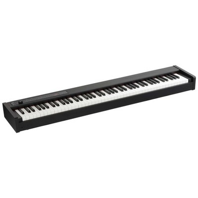 Korg D1