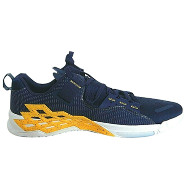 Jordan Alpha 360 TR Michigan 2020 for sale | eBay