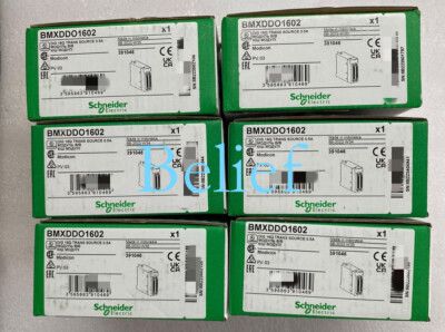 1pc BMXDDO1602 brand new Programmable Controller Module Fast delivery DHL