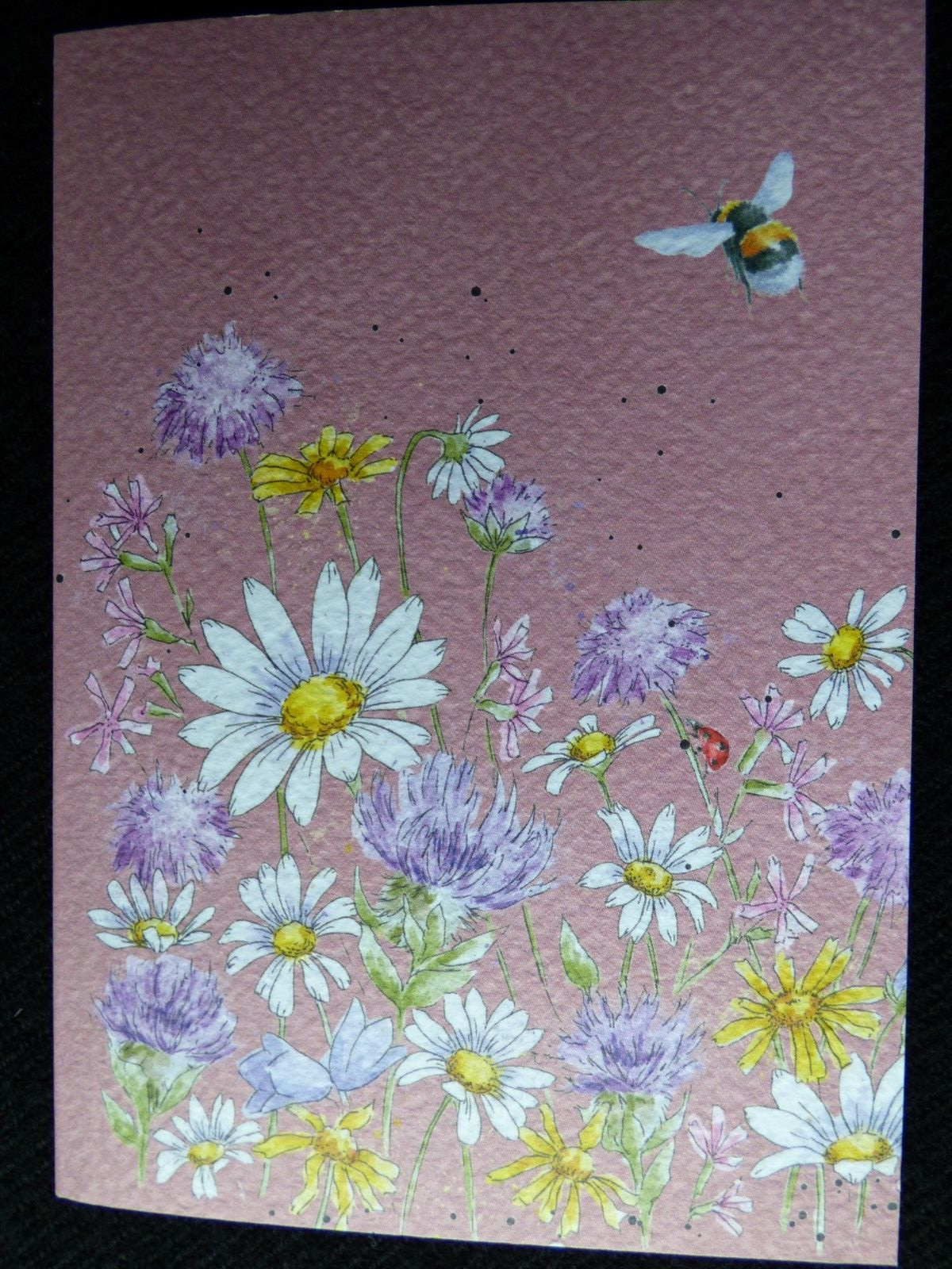 Beautiful WRENDALE A6 Paperback Notebook -""FIELD OF FLOWERS"" (hare) - Image 6