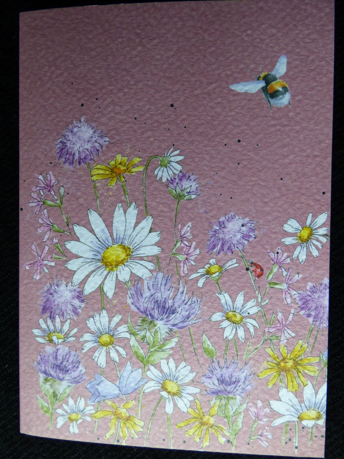 Beautiful WRENDALE A6 Paperback Notebook -""JUST BEE-CAUSE""