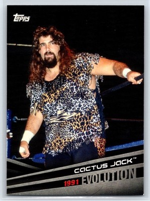 2018 Topps WWE Cactus Jack Evolution Insert #E-35 | eBay