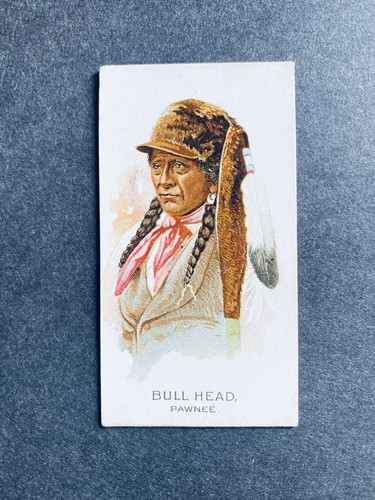 1888 N2 Allen & Ginter #13 Bull Head