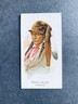 1888 N2 Allen & Ginter American Indian Chiefs Bulls Head Paw