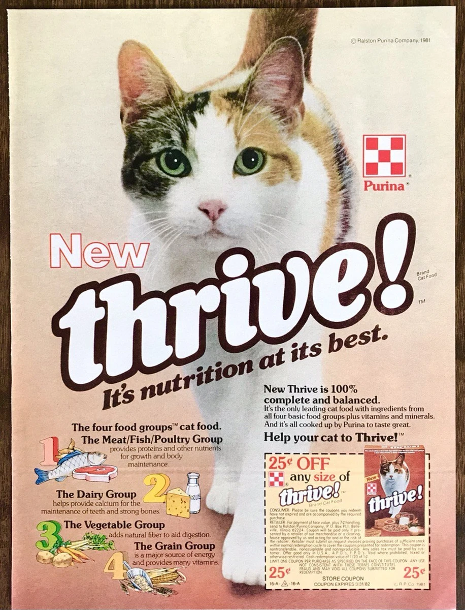 Thrive cat top