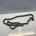 Timing chain