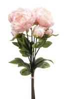 artplants KüNstliche Blume Pfingstrosen Bund Vatana, Zartrosa, 50Cm, Ø18Cm