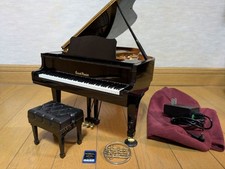 SEGATOYS Sega Toys Grand Pianist with SD Cartridge a7b516
