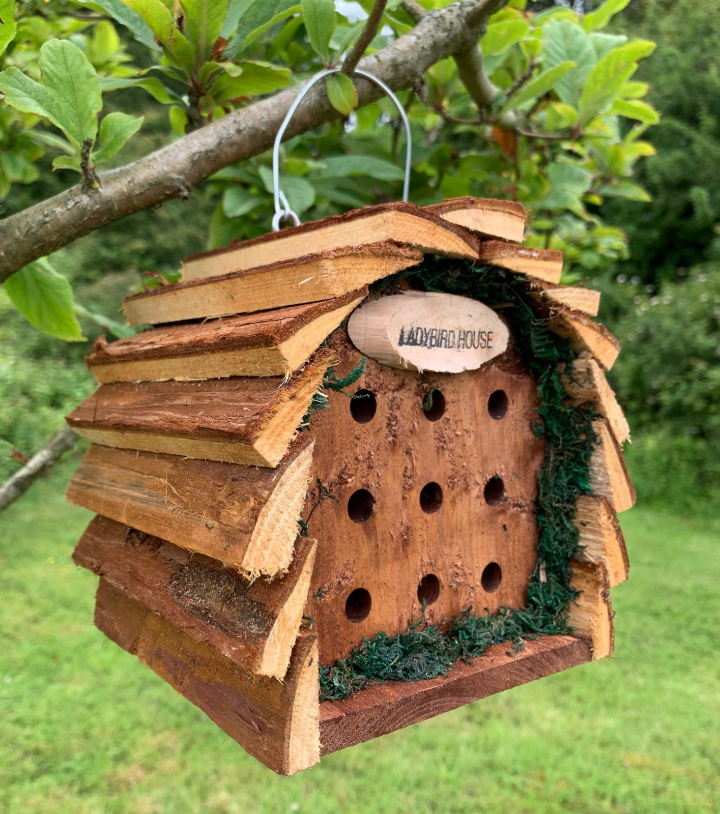 Wooden Hanging Ladybird Insect House Hotel Habitat with Natural Bark Roof