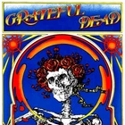 GRATEFUL DEAD "SKULL & ROSES" (180G) [2 LPS] BRAND NEW!  SEALED LP! (MINT)