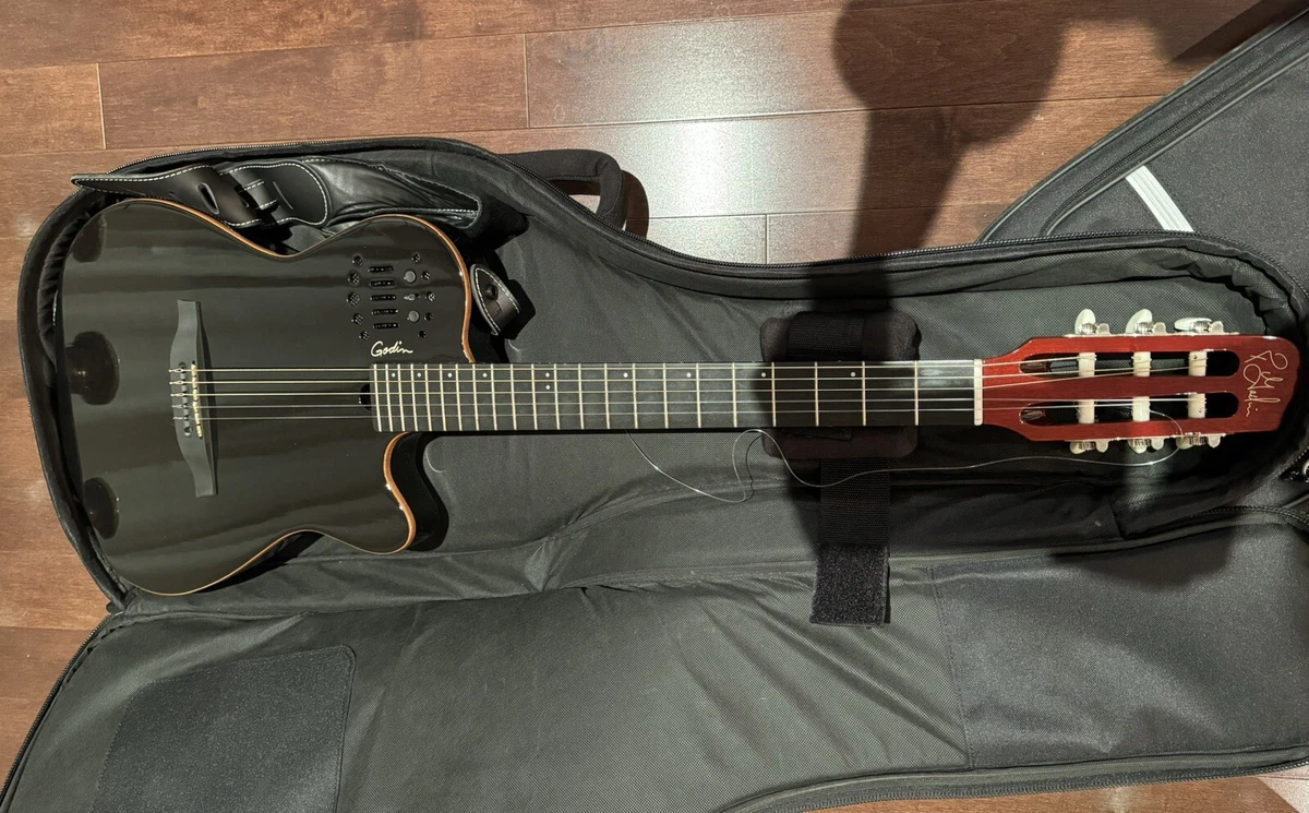 Godin Guitar Cases for sale | eBay