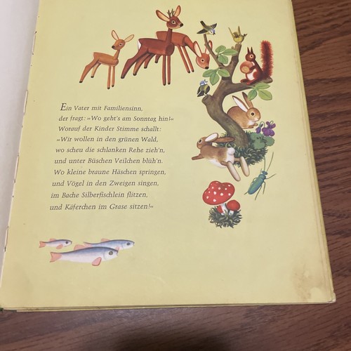 forsterei waldeslust german book - Bild 5 von 7