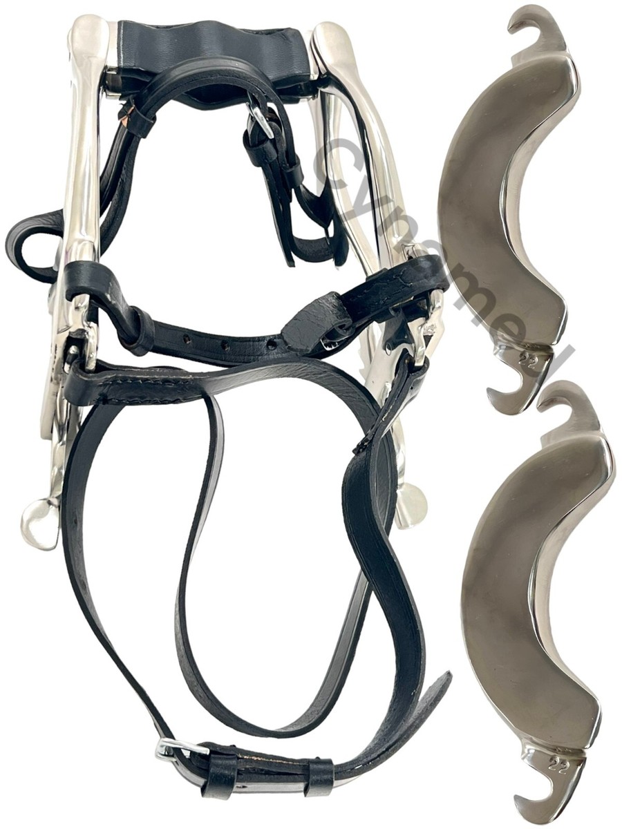 3-Piece Equine Dental Float Rasp Set (Down, Up, Straight) + Horse Speculum Mouth Gag – DDP