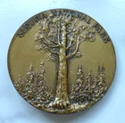 Rare Medallic Art SEQUOIA NATIONAL PARK Bronze Medallion Belt Buckle Centennial