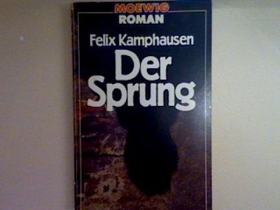 Der Sprung. Nr. 2272, Kamphausen, Felix: