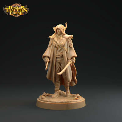 Elf Rogue - Battle for the Unseelie Court - Dragon Trapper's Lodge Wargaming D&D