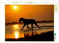 Calvendo Puzzle Boxer Im Sonnenuntergang 1000 Teile Puzzle Quer | 1000 Teile Leg
