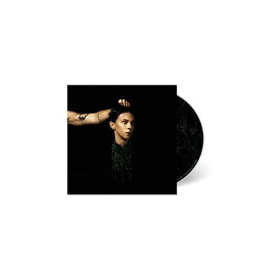 PVRIS - EVERGREEN - PVRIS CD VHVG The Cheap Fast Free Post - Bild 1 von 2