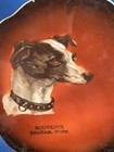 Antique plate Greyhound Whippet - Braham, Minn. — photo 1