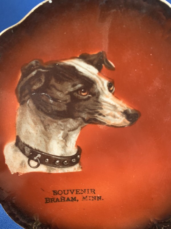 Antique plate Greyhound Whippet - Braham, Minn.