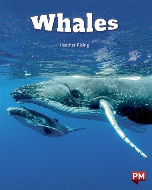 WHALES by HEATHER RISING (Paperback Book)