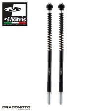 TRIUMPH Street Triple 765 R (H801) 2023-2025 MATRIS F25T132R Ant...