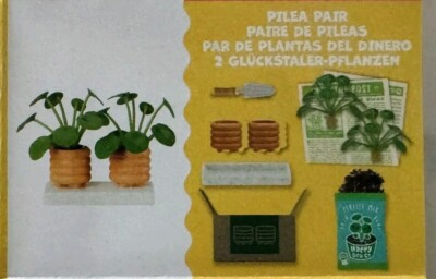 NEW MGA miniverse make it mini lifestyle PILEA PAIR PLANT HARD TO FIND
