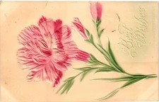 Vintage Postcard- BEST WISHES, PINK CARNATION