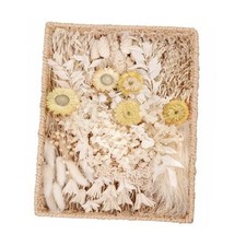 Natural Dried Flower Set, Bulk Dried Flowers with Stems, Dried Daisies, White