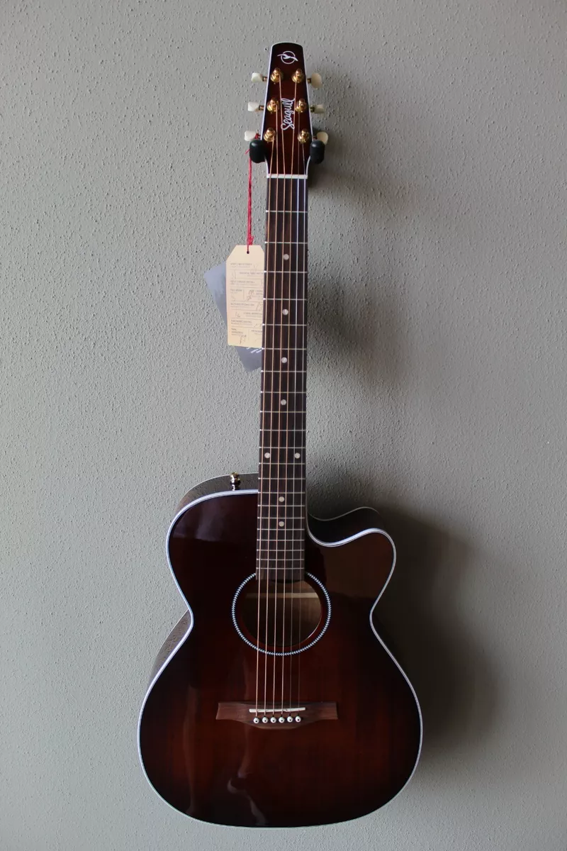 Seagull performer cw concert 2024 hall burnt umber qit
