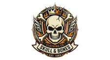 12pack skull sticker in gray