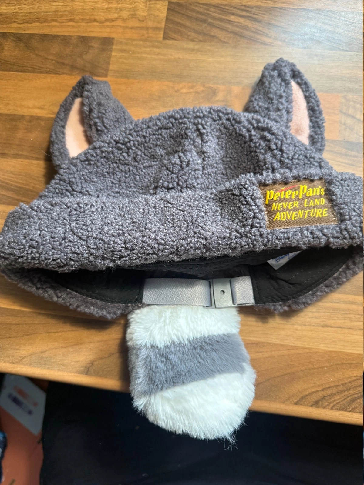 Tokyo DisneySea Fantasy Springs Peter Pan Lost Boy Character Hat Cap Grey