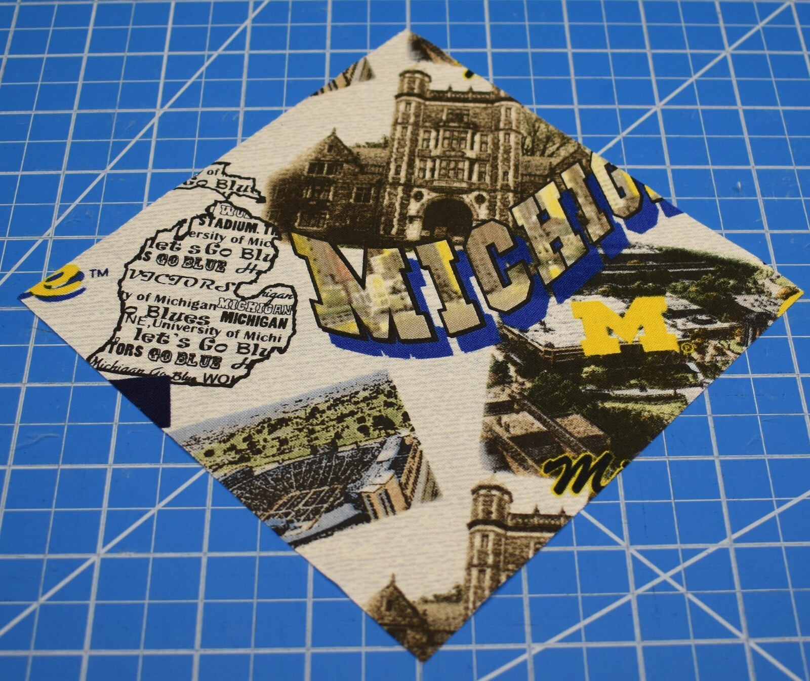 Picture 3 of 7
