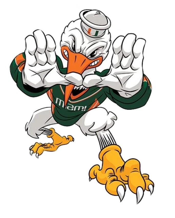 SSSCO Miami Hurricanes Weather Resistant Vinyl Die Cut Sticker Decal 17 - IBIS