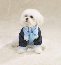 Zack  Zoey All Terrain 3 IN 1 dog Puppy Jacket Coat Warm