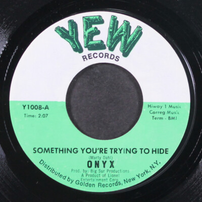 ONYX: something you're trying to hide / you never fail to amaze me YEW 7'' Single