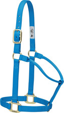 Weaver Leather Original Non-Adjustable Nylon Horse Halter, Yearling, Hurricane B
