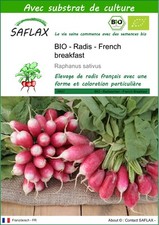SAFLAX - BIO - Radis - French breakfast - 150 graines - Avec substrat - Raphanu