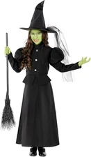 Deluxe Girls Wicked Witch Costume Kids Theodora Oz Halloween Costume 3 - 14 Yrs