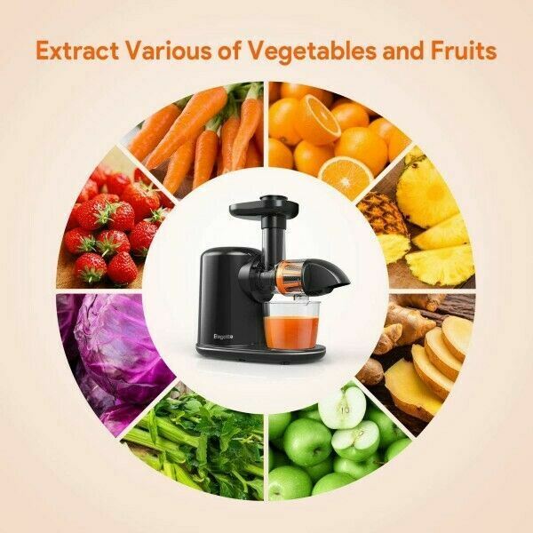 Bagotte Masticating Juicer, 150Watt, Higher Juice Yield and Drier Pulp