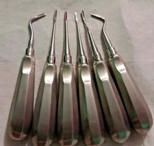 Dental Root Elevators  Luxating Root Extracting Oral Surgery Elevators Set Of 6