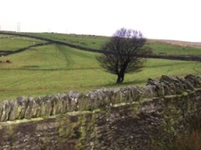 Photo 6x4 Farmland of Tylaglas farm Deri/SO1201 The footpath heading wes c2007