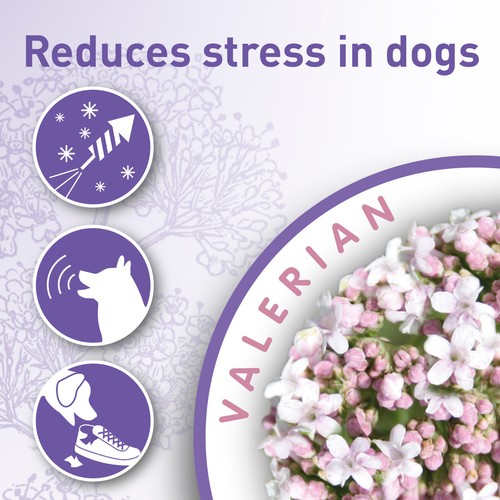 Beaphar Calming Dog Collar - Efficient For Up To 6 Weeks - Reduce Bad Behaviour - Picture 3 of 3