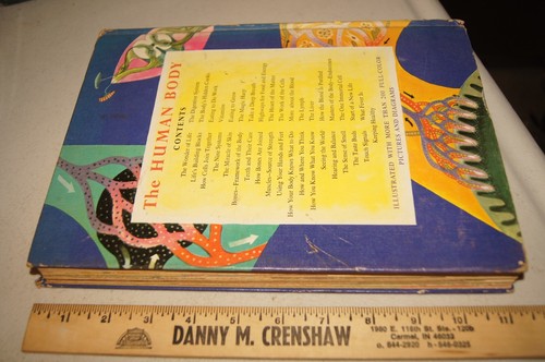 The Human Body Illustrated Colorful Pullout Deluxe Golden Book 1959 1961 Vintage - Picture 17 of 17