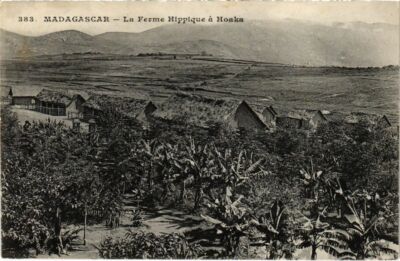 CPA AK La Ferme Hippique a Hoaka MADAGASCAR (1044650)
